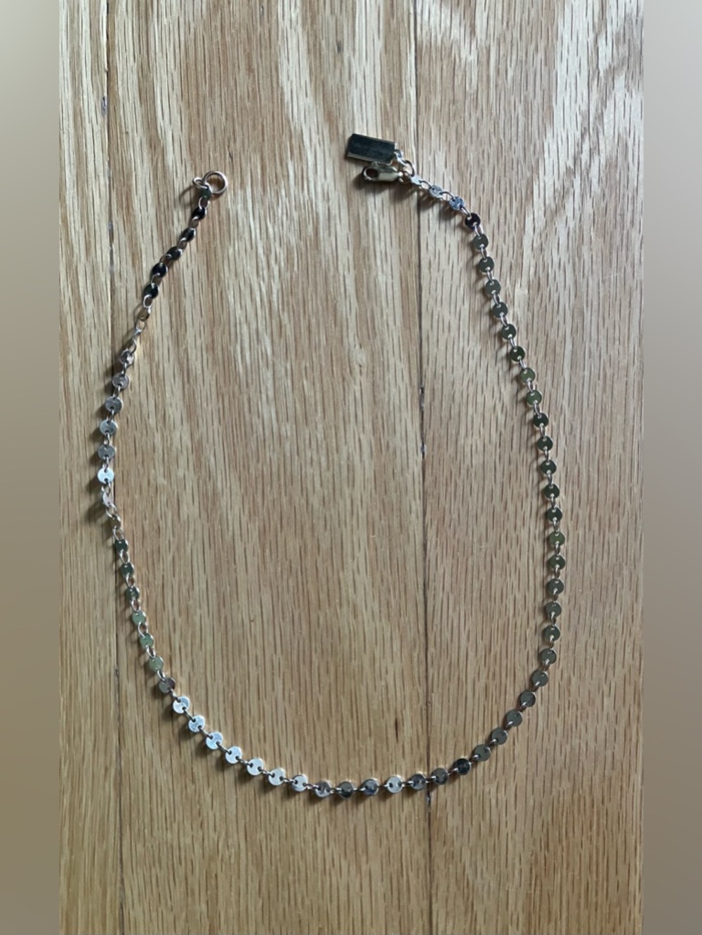 Meghan LA Golden Disc Link Necklace